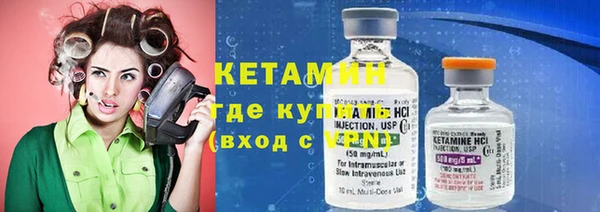 прущие грибы Пестово