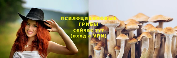 прущие грибы Пестово