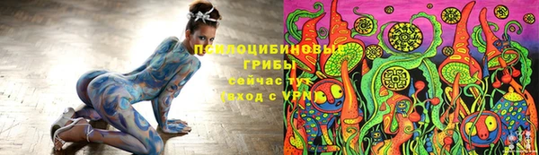 прущие грибы Пестово