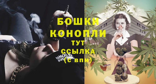 2c-b Пересвет
