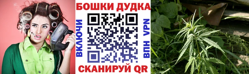 даркнет сайт Карталы Бошки Шишки сатива